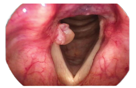 1734321061649086.png f85c60662b542a7a1d6d08cde66e948.png