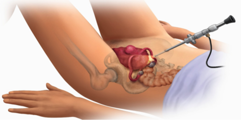 1742183653336175.png 推文(wén)1.png